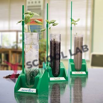 Learning Resources Hydroponics Lab